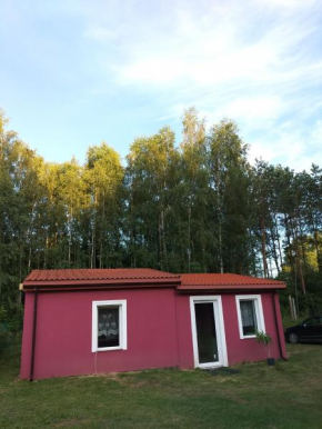 Domek dla 2 osób w lesie in Wydminy